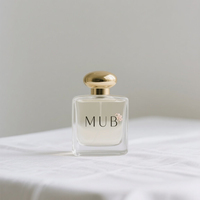 Botellas de Perfume Cuadradas de Vidrio con Tapa Dorada Personalizadas, OEM, Vacías, Recargables, con Pulverizador y Difusor de Varillas, 30ml/50ml/100ml