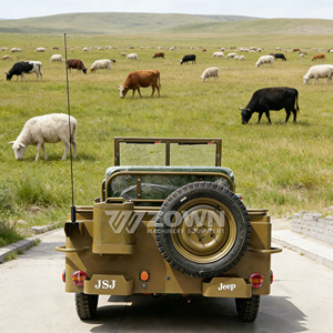 Véhicule de tourisme tout-terrain 4x4 ZOWN Electric Classic Convertible avec couleur personnalisée et garantie de 2 ans pour 5 passagers - Product Image 6