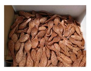 ช้อนรับประทานอาหารทำจากไม้ธรรมชาติแบบ100% ช้อนซุปชาทำจากไม้แบบใช้ซ้ำได้คุณภาพดีแบบกำหนดเองทำในเวียดนาม99ข้อมูลสีทอง - Product Image 4