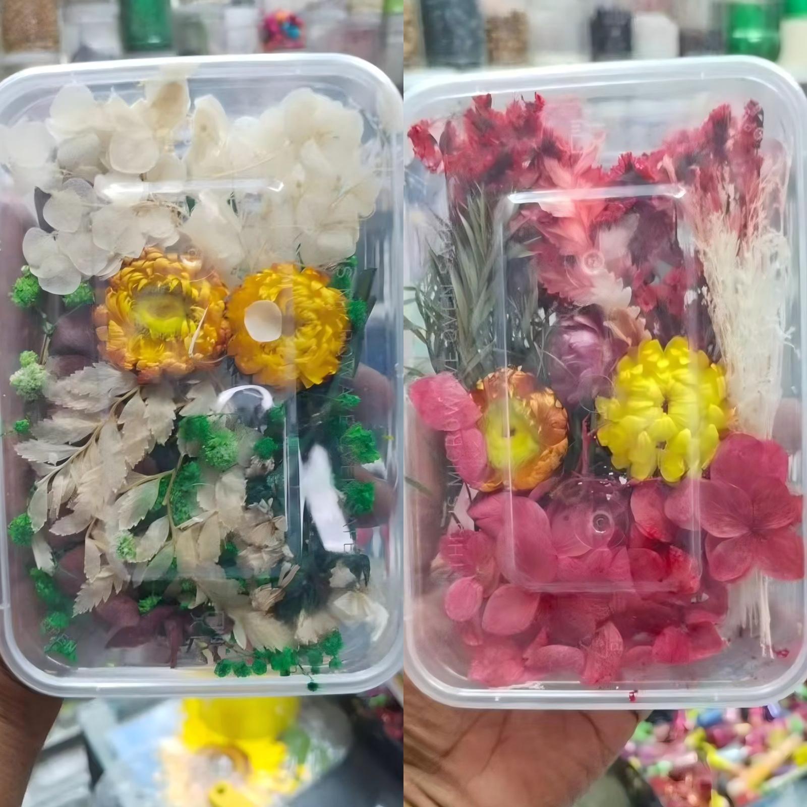 White Red Dried Flower in box