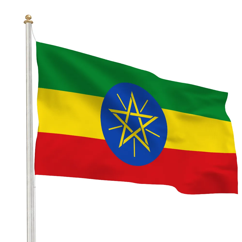 Bandiera di culto in poliestere bandiera di leone etiopica bandiera segnaletica logo personalizzato stampa bandiera di etiopia 3x5