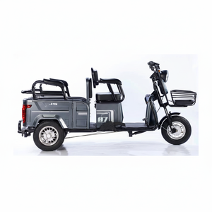 จักรยานไฟฟ้าสำหรับครอบครัว 3 ล้อ จักรยานบรรทุกสำหรับผู้ใหญ่ ความเร็วเดียว มอเตอร์ไร้แปรงถ่านที่ดุมล้อหลัง โครงเหล็ก 600W 48V รถสามล้อ - Product Image 1