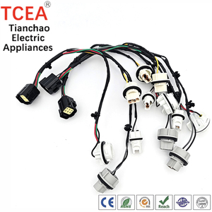 Faisceau de câblage de feux arrière combinés P3011 avec boîtier DJ7061B-2.0-21, terminal TC01003 et fil AVS0.5 pour système d'éclairage automobile - Product Image 1