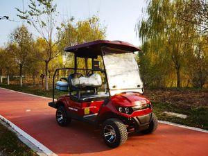 Carrito de Golf Eléctrico BD-DL Deluxe Personalizado de 2 Plazas con Batería, Carrito de Golf con Caja Refrigeradora, Portaequipajes, Certificación CE, GCC, EEC - Product Image 5