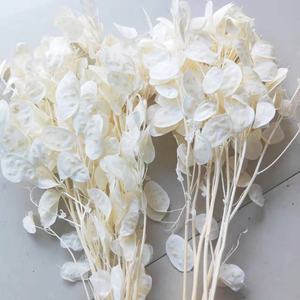 Ins Vente Chaude Fleurs Séchées <span class=keywords><strong>Lunaria</strong></span> <span class=keywords><strong>Annua</strong></span> pour Maison/Mariage Décoration Fleur pour Arrangement Bouquet - Product Image 2
