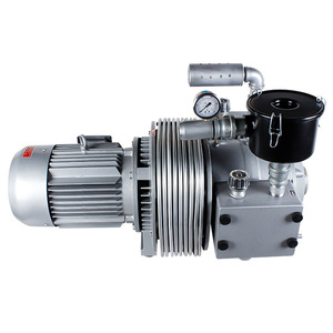 ปั๊มสุญญากาศ Isge Zbw...b แบบไร้น้ำมัน 39 ลิตร/นาที สำหรับถ่ายโอนก๊าซ - Product Image 1