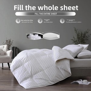 Couette en pur coton, chaude, jacquard, matelassée, rayée, garnie <span class=keywords><strong>de</strong></span> fibres thermiques, toutes saisons, vente en gros, literie - Product Image 3