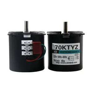 60KTYZ 14W Synchronous Motor AC Motor 110V220V Permanent Magnet High Torque 2.5-110rpm Gear Reduction Motor