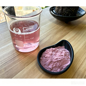 <span class=keywords><strong>HERBORN</strong></span> Vente en gros en vrac Poudre de jus de raisin rouge lyophilisé naturel à haute concentration, soluble dans l'eau, saveur et couleur de raisin rouge - Product Image 2