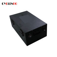 Kustom Baterai Lithium Besi Fosfat 48V 100ah 200ah untuk Ev dan Ess