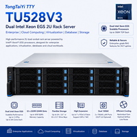 Serveur en rack 2U TongTaiYi TTY TU528V3 double processeur Intel Xeon pour l'entreprise, le cloud computing, la virtualisation et le stockage de bases de données