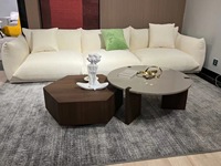 Table basse gigogne moderne de luxe en bois, meubles d'appoint pour salon, vente chaude, mobilier de thé pour la maison, 2 pièces