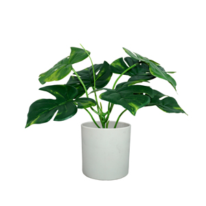 Fleur décorative artificielle, 1 pièce, feuille verte, pour décoration de jardin, maison, art mural, vente en gros, plantes en bois, feuille de tortue - Product Image 1