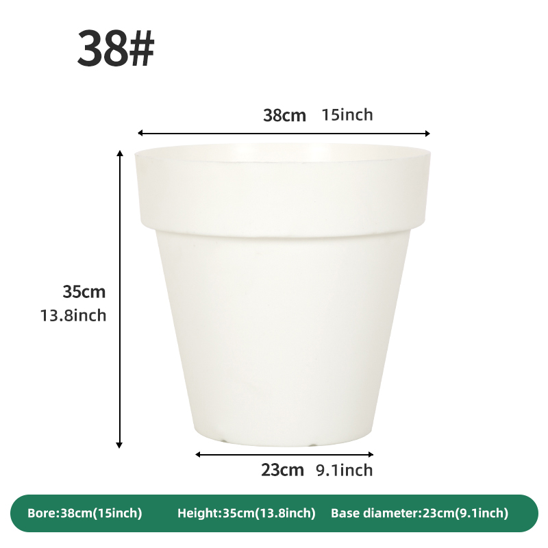 White Y4