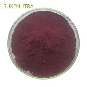 Poudre d'extrait de myrtille de haute qualité <span class=keywords><strong>25</strong></span>% anthocyanes pour complément alimentaire - Product Image 1