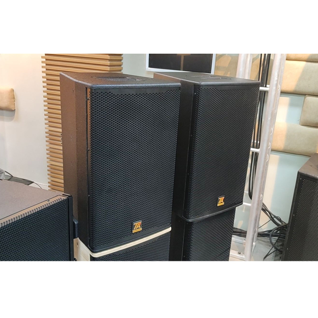 12inch Sound Equipment KTV & Karaoke Speaker