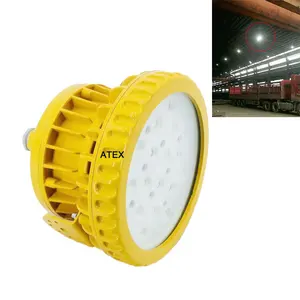 LEDUN Atex Zone1-patlamaya dayanıklı Led işık lambası su geçirmez yüksek defne ışıkları 50w 100w 150w IP65 80 150 kg lamba tuz himalaya