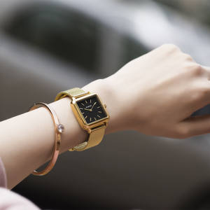 <span class=keywords><strong>ANANKE</strong></span> Mode populaire Montre créative pour femme Mouvement japonais Bracelet en maille Montre étanche pour femme - Product Image 2