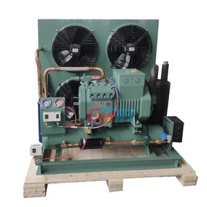 Walk In Freezer Compressor Condensing Unit For Refrigeration System