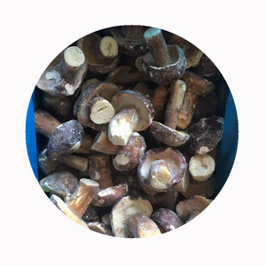 IQF congelé frais organique funghi porcini cèpes sauvage jaune champignon brun entier dés de printemps tranches morceau dés bloc Cubes coupes - Product Image 5
