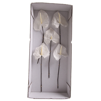 Vente en gros, décoration préservée pour toujours, tête de fleur d'Anthurium naturel pour cadeau de Saint-Valentin
