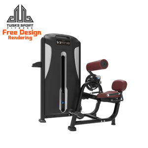 高品質ジム機器バックエクステンションマシン背筋運動器具フィットネス＆ボディビルディングバックエクステンションマシン - Product Image 1