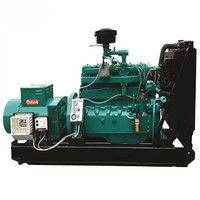 NUOVISTA Goedkope Kleinschalige Anaerobe Digestieproces Melk- en Voedselafvalverteringsinstallatie Biogasinstallatie Systeem Met Cogeneration