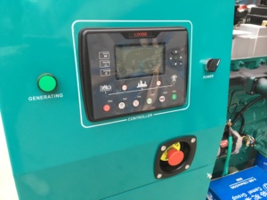 Groupe électrogène diesel à châssis ouvert 20KW/25KVA avec moteur Yangdong et alternateur Minsun, portable et refroidi par eau - Prix promotionnel - Product Image 6