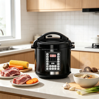 Cuisinière à pression électrique 6L 1000W 220V en acier inoxydable, multicuiseur numérique 10-en-1 avec minuterie 24H CE