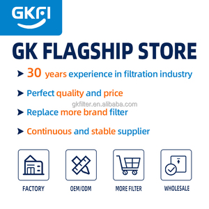 Phụ tùng máy nén khí mới của nhà cung cấp <span class=keywords><strong>Q</strong></span>/GN001-007-060, bộ lọc khí OGFD-2.8/12.5 - Product Image 3