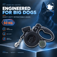 Laisse rétractable intelligente réfléchissante pour la sécurité nocturne des grands chiens, pour des promenades nocturnes silencieuses