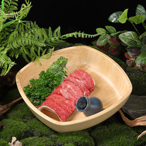 Olla caliente estilo montaña salvaje con plato de dragón colgante de menta, cuenco cuadrado con imitación de veta de madera, vajilla creativa y única. - Product Image 2