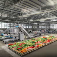 Aanpasbare Snelbevroren Machine Verwerkingslijn Voor Fruit Groenten Food Gear & Plc Core Componenten Voor Hotels