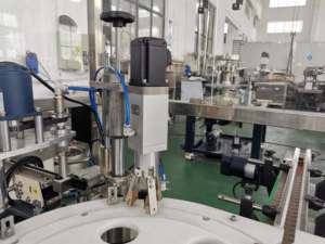 Machine de remplissage automatique de flacons de vernis à ongles avec gouttes pour les yeux, petite bouteille de 10ml et 30ml - Product Image 3