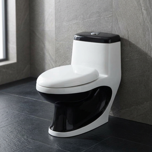 Inodoro Sanitario Moderno y Duradero de Una Pieza con Sifón en S y Sifón en P, de Porcelana, con Doble Descarga, Montado en el Suelo, para Uso Exterior - Product Image 4
