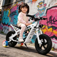 Motocicleta Eléctrica para Niños con Certificación CE, Batería de Litio, Motocross Eléctrica para Niños, Limitador de Velocidad de Seguridad, Motocross Eléctrica Deportiva para Exteriores