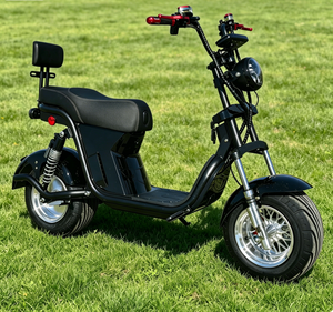 <span class=keywords><strong>Moto</strong></span> Elettrica ad Alta Velocità 110V con Batteria al Piombo-Acido, E-Bike da Corsa per Adulti con Certificazione EEC - Product Image 5
