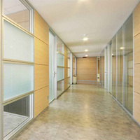 Cloison en verre de 60 mm d'épaisseur avec cadre en aluminium, design en grille populaire pour les bureaux, niveaux spéciaux différents, visuellement attrayant