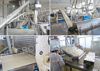 Conception de ligne de production de chips de pommes de terre personnalisées - Usine automatique de production de chips de pommes de terre de type Pringle à haute capacité