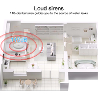 Détecteur d'alarme intelligent sans fil RSH Tuya ZigBee IP67 110 dB pour les inondations, intégration Alexa Google, détection de fuite d'eau Tuya ZigBee