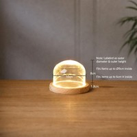 Cloche en verre transparente éclairée avec base LED et couvercle anti-poussière pour figurine d'action anime, vitrine de chambre artisanale