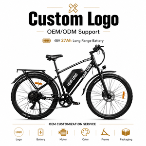 Bicicleta Eléctrica de Carga Personalizable de 27.5 Pulgadas con 108 km de Autonomía y Motor de Alta Velocidad para Negocios de Entrega en Latinoamérica - Product Image 1