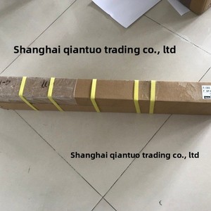 Cilindro sin vástago Parker OrigA en stock, fabricado en China, número de pieza OSPP25000000194000000000 - Product Image 4