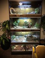 Enclos pour serpent en PVC, 4 pieds, reptile, 200 gallons, 90x30x50, réservoir d'angle, humidificateur, taille personnalisée, lézard, paludarium incassable, terrarium