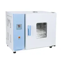 Incubateur de stérilisation de type de bureau de laboratoire de haute qualité, 20 l, thermostat, four de séchage
