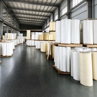 Film en rouleau jumbo personnalisé en PP, BOPP, PE, PET pour étiquettes, matériau brut pour étiquettes adhésives en rouleau jumbo