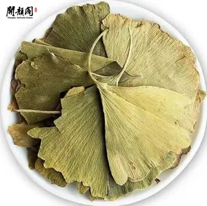 Kaiyange hữu cơ cao cấp Ginkgo Biloba lá trà OEM toàn bộ lỏng lá khô số lượng lớn bán buôn sức khỏe Trà Hộp Cốc Túi