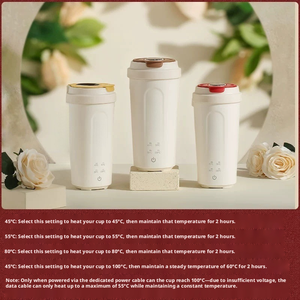 Tasse chauffante électrique portable 450 ml, 4 niveaux de température, affichage LED, ébullition rapide en 6 min, acier inoxydable 304, arrêt automatique, anti-fuite, pour voyage et bureau - Product Image 6
