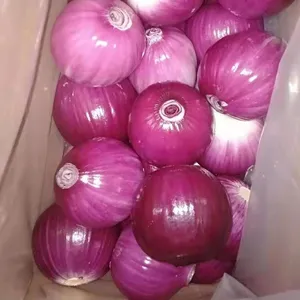 2023 of Sinofarm brand fresh 10kg whole peeled onion price red and yellow onions peeled Chinese fresh onions fresh vegetables