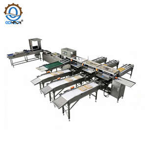 Automatische eierweeg- en verpakkingslijn met modulaire configuratie, eierselectie- en verpakkingsmachine productielijn - Product Image 2